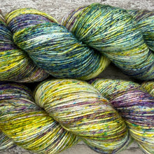 Load image into Gallery viewer, Welsh Mountains, merino nylon sock yarn