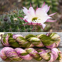 Load image into Gallery viewer, Flowering Cactus, merino nylon sock yarn