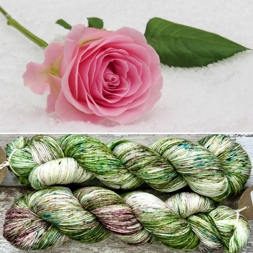 A Winter Rose, merino nylon sock yarn