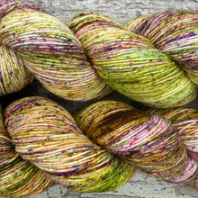 Load image into Gallery viewer, Summer Spinney, merino nylon sock yarn