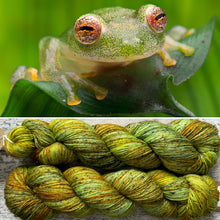 Load image into Gallery viewer, Glass Frog, merino nylon yarn