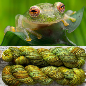 Glass Frog, merino nylon yarn