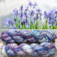 Load image into Gallery viewer, Speckled Iris, merino nylon sock yarn