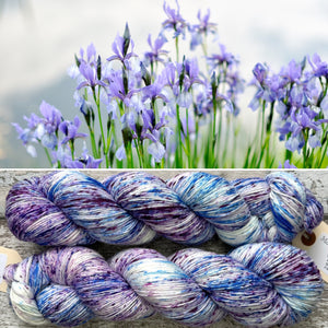 Speckled Iris, merino nylon sock yarn