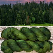 Load image into Gallery viewer, Conifers, merino nylon sock yarn