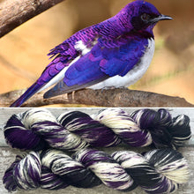 Load image into Gallery viewer, Violet Backed Starling DK, merino nylon sock yarn