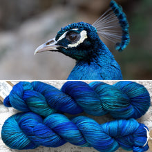 Load image into Gallery viewer, Hemipeacock, merino nylon sock yarn