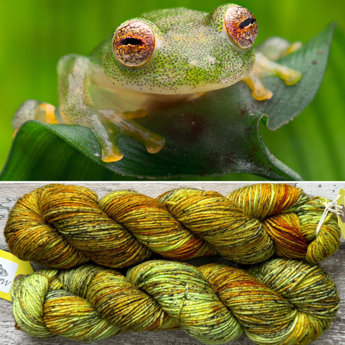 Glass Frog DK, merino nylon yarn