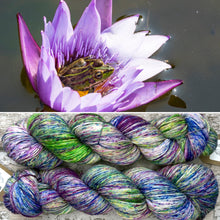 Load image into Gallery viewer, Frogger Lily, merino nylon sock yarn