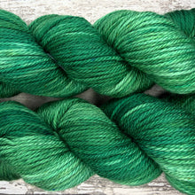 Load image into Gallery viewer, Conifers Aran, soft superwash merino yarn