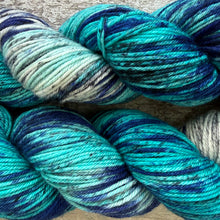 Load image into Gallery viewer, European Roller, merino nylon sock yarn