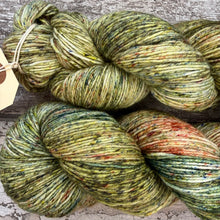Load image into Gallery viewer, Awakening Woodland, merino nylon sock yarn