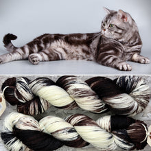 Load image into Gallery viewer, Black and White Tabby Cat, merino nylon sock yarn