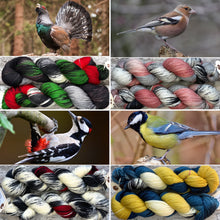 Load image into Gallery viewer, Rainbow Yarn Subscription Club