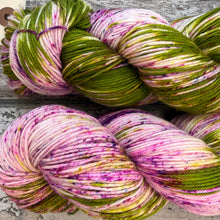 Load image into Gallery viewer, Flowering Cactus, merino nylon sock yarn