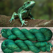 Load image into Gallery viewer, Could Be A Frog, merino nylon sock yarn
