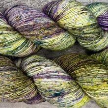 Load image into Gallery viewer, Winter Woodland, merino nylon sock yarn