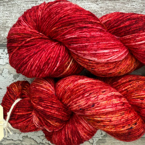Discus Fish, merino nylon sock yarn