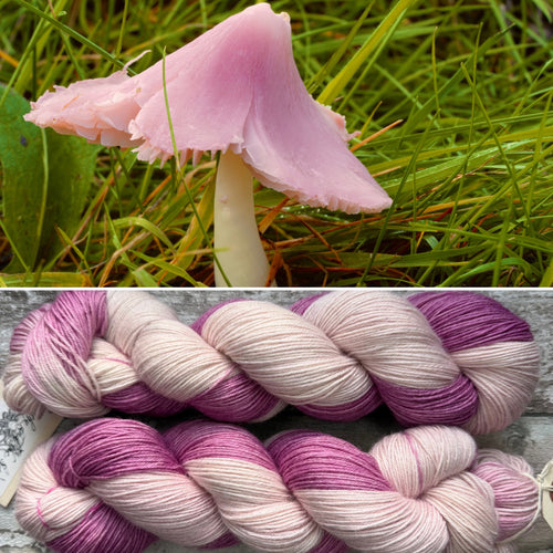 Ballerina Waxcap, British Fungi Bluefaced Leicester