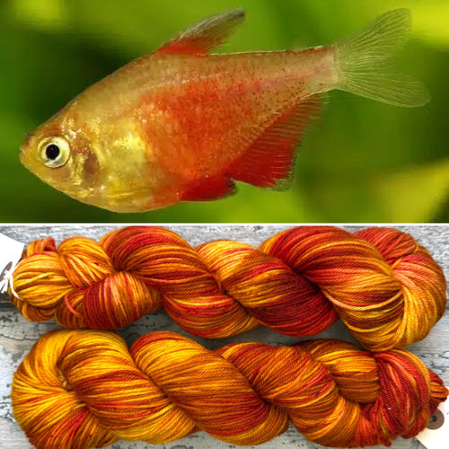 Flame Tetra Fish DK, merino nylon yarn