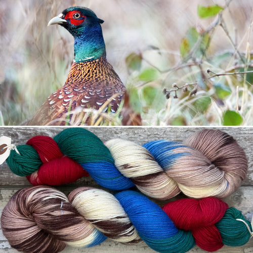 Pheasant, British Birds Bluefaced Leicester