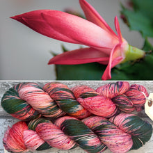Load image into Gallery viewer, Christmas Cactus, merino nylon sock yarn