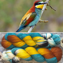 Load image into Gallery viewer, (April) European Bee Eater DK, merino nylon yarn