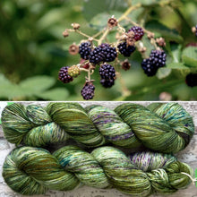 Load image into Gallery viewer, Woodland Sparkle, merino nylon sock yarn