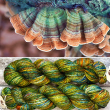 Load image into Gallery viewer, Turkey Tail aran, soft merino yarn