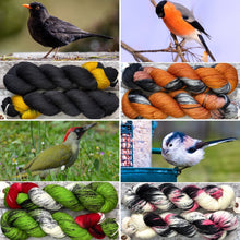 Load image into Gallery viewer, Rainbow Yarn Subscription Club