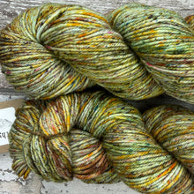 Load image into Gallery viewer, I Ain’t Leafin’ DK, merino nylon yarn