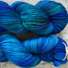 Load image into Gallery viewer, Hemipeacock, merino nylon sock yarn
