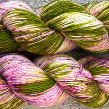 Load image into Gallery viewer, Flowering Cactus, merino nylon sock yarn