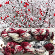 Load image into Gallery viewer, Winter Berries, merino pima cotton 4ply yarn