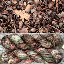 Load image into Gallery viewer, Aw Nuts!, merino nylon sock yarn