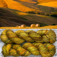 Load image into Gallery viewer, Make Hay While The Sun Shines, merino nylon sock yarn