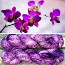 Load image into Gallery viewer, Radical Left, merino nylon sock yarn
