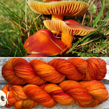 Load image into Gallery viewer, Crimson Waxcap, British Fungi Bluefaced Leicester