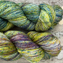 Load image into Gallery viewer, Welsh Mountains, merino nylon sock yarn