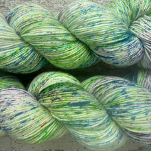 Load image into Gallery viewer, If it fits, I sits!, merino nylon sock yarn