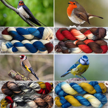 Load image into Gallery viewer, Rainbow Yarn Subscription Club
