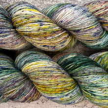 Load image into Gallery viewer, Cute Tit, merino nylon sock yarn