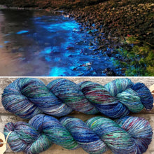 Load image into Gallery viewer, Plankton, merino nylon sock yarn