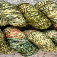 Load image into Gallery viewer, Awakening Woodland, merino nylon sock yarn