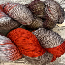 Load image into Gallery viewer, January Robin, merino nylon sock yarn