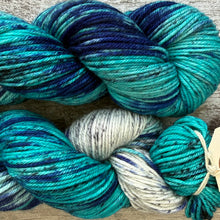 Load image into Gallery viewer, European Roller, merino nylon sock yarn