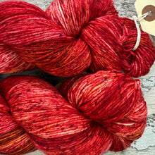 Load image into Gallery viewer, Discus Fish, merino nylon sock yarn
