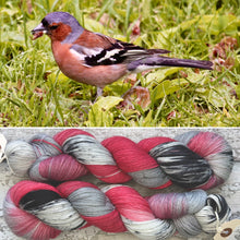 Load image into Gallery viewer, Chaffinch, British Birds Bluefaced Leicester