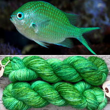 Load image into Gallery viewer, Green Chromis Fish DK, merino nylon yarn