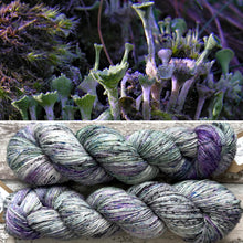 Load image into Gallery viewer, Trumpet Cup Lichen, merino nylon sock yarn